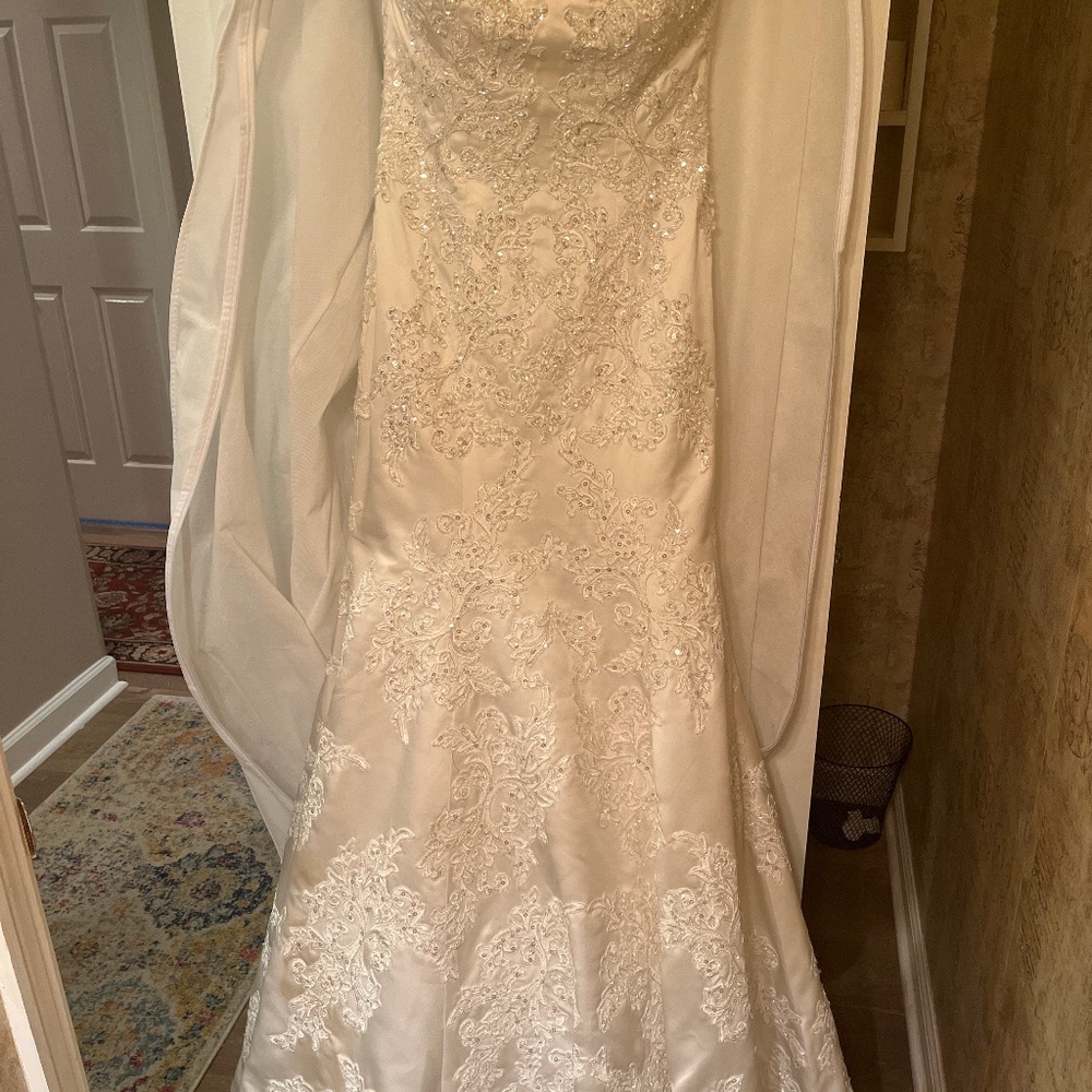 Beautiful beaded button-down mermaid style strapless wedding gown with train